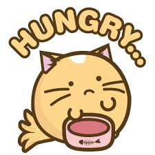 Https Encrypted Tbn0 Gstatic Com Images Q Tbn And9gcs0wob1izy6ljqaxqnhdizpac8aprsvi5pufa Usqp Cau