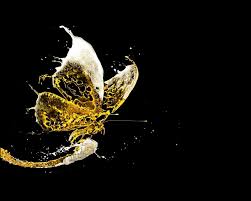 48 4d Wallpapers Hd On Wallpapersafari Perfect screen background display for desktop, pc, mobile device, laptop, smartphone, android. 48 4d wallpapers hd on wallpapersafari