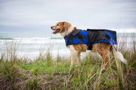 Global pet foods is canada's healthy choice for pets!! Proseries Ultra Health Pet Food