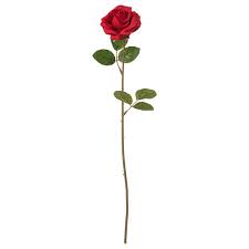 Check spelling or type a new query. Smycka Artificial Flower Rose Red Ikea Ireland