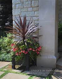 Red Star Cordyline Dragon Wing Begonias Moneywort Unique By Design L Helen Weis Uniquebydesignlandscape C Container Gardening Unique Gardens Flower Pots