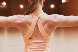 They're crucial for shoulder health. The Ultimate List Of The Best Bodyweight Exercises Back Workout Women Back Exercises Bodyweight Workout