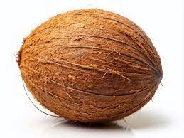 Coconut