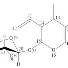 Image result for Pauridiantha dewevrei