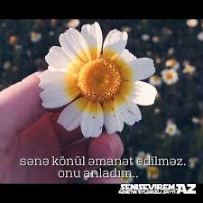 SeniSevirem.Az, Sekiller, Burcler, Yukle, Status, Maraqli,