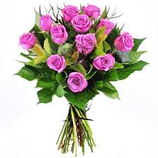 We did not find results for: Bouquet Of 12 Purple Roses Sned Flowers Today