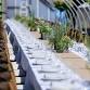 Pollinator Dinner Fundraiser!