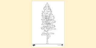 Free coloring sheets to print and download. Pine Tree Colouring Page Colouring Sheets