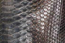Check spelling or type a new query. 20 Distinctive And Unique Reptile Skin Textures Blueblots Com