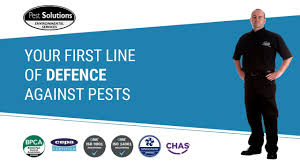 It's easy to find the best pest control phone number with pestcontrolphonenumber.com simply call our toll free. Pest Control Glasgow Bird Control Pest Prevention Pest Solutions
