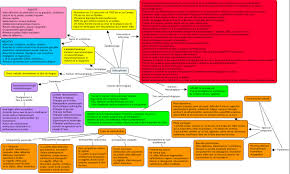 La schizophrénie paranoïde est la forme la plus courante de schizophrénie. Schizophrenie Carte De Concepts