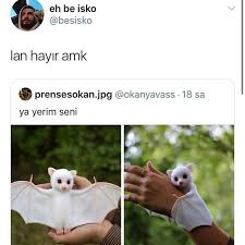 Pin By Merve Inan On Ne Haliniz Varsa Gulun In 2020