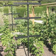 Bird Netting For Garden Uk Raspberry Protection And Support Frame Fruit Garden Fruit Cage Farm Gardens