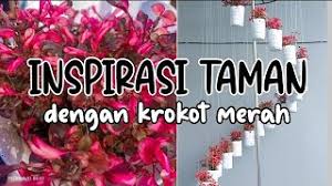 Manfaat bunga krokot yang pertama adalah untuk mengatasi penyakit maag. Menanam Bunga Krokot Warna Warni Kreasi Taman Rumah Minimalis Ide Kreatif Cute766