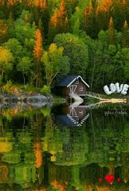 Animasyonlu Gif Giphy De Bul Ve Paylas Beautiful Nature Wallpaper Autumn Scenery Beautiful Nature