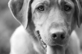 ÿþM i c r o s o f t W o r d