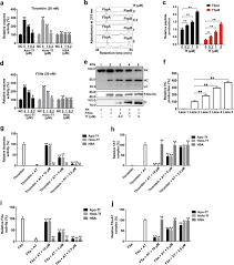 Blood is fluid in nature and is essential for the transport of nutrients including oxygen round the body through the circulatory system by the aid of the heart and blood vessels. Transferrin Plays A Central Role In Coagulation Balance By Interacting With Clotting Factors Cell Research