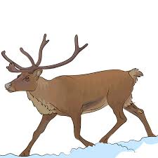 Almost files can be used for commercial. Reindeer Clipart Free Download Transparent Png Creazilla