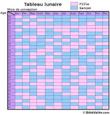 Vrai calendrier chinois de grossesse 2021 (et 2020). Calendrier Lunaire Chinois Fille Ou Garcon Creation Deco