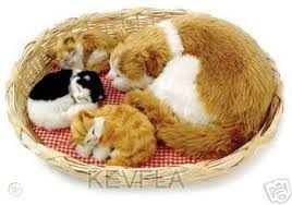 Perfect petzzz original petzzz black and white shorthair kitten, realistic, lifelike stuffed interactive pet toy, breathing pets, companion pet cat with 100% handcrafted synthetic fur. Perfect Petzzz Porch Cat 3 Kittens Soft Adopt Breathing 32075160