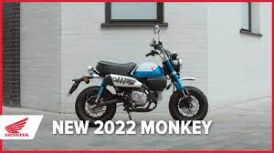 2022 honda monkey launched in europe on 21st june, 2021, kicking off the summer in proper fashion! New 2022 Honda Monkey Youtube