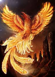 403 Forbidden Phoenix Bird Art Phoenix Wallpaper Mythical Creatures Art