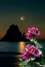 Un Poema De Amor Rosas Bonitas Paisaje De Fantasia Hermosos Paisajes