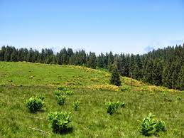 Check spelling or type a new query. Kunduz Yaylasi Turizm Haritasi