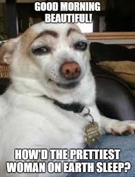 79 Good Morning Meme To Enjoy Your Day Meme Central
