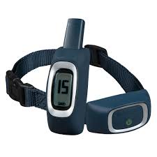 Many people mistakenly believe that a shock collar will be a miracle cure for all behavioral problems. Petsafe Remote Trainer Dog Training Behavior Accessories Petsmart