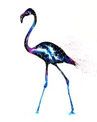 Une région ou un quartier du brésil, dont : Flamingo Cosmic Animal Meaning Medicine Magic
