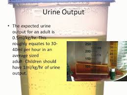 Asparagus can make your urine smell funky because of how your body digests it. Urinary System Assessment Diagnostics Diseases And Treatments Ppt Video Online Download