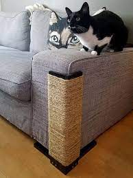 Pin Auf For Cats