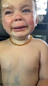 Tiny cute dog pushes even smaller dog