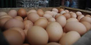 Telur rebus bagus untuk dikonsumsi, sebab tidak menambahkan campuran kalori dari sumber lain untuk dikonsumsi, selain berasal walaupun demikian, jumlah kalori ini masih sangat dapat ditolerir untuk dikonsumsi oleh tubuh, sebab diketahui kebutuhan kalori pada perempuan sebanyak 2.000. Berapa Jumlah Kalori Yang Ada Dalam Sebutir Telur Merdeka Com