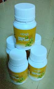 Sekiranya anda menjumpai tanaman ini iaitu pokok susu nabi atau pokok ara tanah, mungkin anda akan menganggap ia hanya tanaman yang tumbuh melata yang langsung tidak berguna. Buy Pokok Susu Nabi 60 Kapsul Seetracker Malaysia