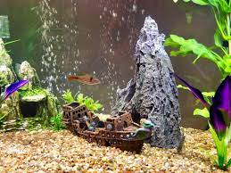 There are several sorts of fish tank decors that is climate of opinion to be the forerunners in aquarium decorations. Buy Slocme Aquarium Pirate Ship Decorations Fish Tank Ornaments Resin Material Shipwreck Decorations Eco Friendly For Freshwater Saltwater Aquarium Sunken Ship Accessories Online In Turkey B07cxnttlv