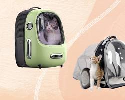 backpack cat carrierの画像