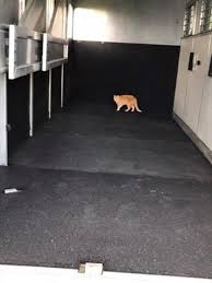 We did not find results for: What Makes The Best Trailer Mats Stall Mats Horse Best Trailers Horse Stalls