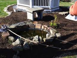 Check spelling or type a new query. This Is How Much A Koi Pond Costs To Build And Maintain