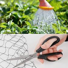 Check spelling or type a new query. Buy 50 X 50 Bird Netting With 1 Square Mesh Nylon Bird Net Protect Fruit Tree Plant And Vegetables From Poultry And Birds Heavy Duty Netting As Fruit Net Aviary Netting