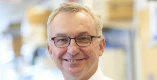 2017 Synapse Publications Report