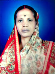 Gram Panchayat (ग्राम पंचायत): GANIYARI (गनियारी )