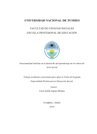 2º, 3º, 4º, 5º y 6º sección cargos: Pdf Superior La Pedagogia En El Desarrollo Integral De Ninos Del Nivel Inicial 1library Co