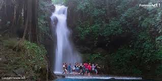 Proposal ini dibuat sebagai pengajuan kegiatan penelitian. Taman Nasional Gunung Ciremai