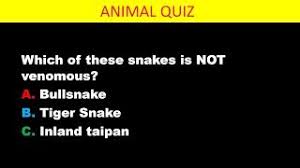 Also, see if you ca. Multiple Choice Quiz For Kids Fun Animal Trivia Questions Watch Hd Mp4 Videos Download Free