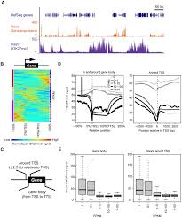 Genome-wide identification of genomic regions at which H3K27me3...