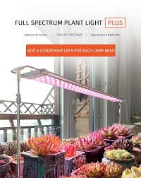 For plants in the later veg phase we included spectrum but in all cases we added light spectrum found in outdoor growing under the sun, because we believe it is true that our sun is the ultimate grow lamp. China Best Plant Growing Lamps Archibald Grow Light Factory And Manufacturers Archibald
