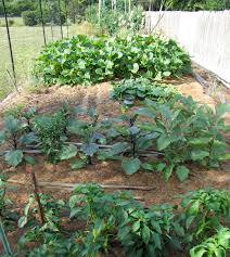Grass clippings are free and grasscycling can eliminate the need for chemical fertilizers. Are You Damaging Your Vegetable Garden Soil Cce Suffolk Long Island Gardening