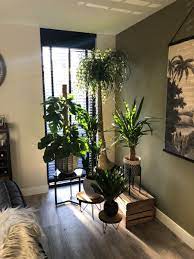 plantenhoek woonkamerplanten interieur woonkamer woonkamer decoratie